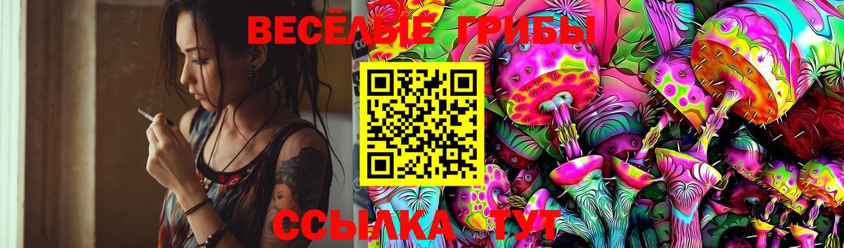 Псилоцибиновые грибы Cubensis  Вход с VPN  Орёл 
