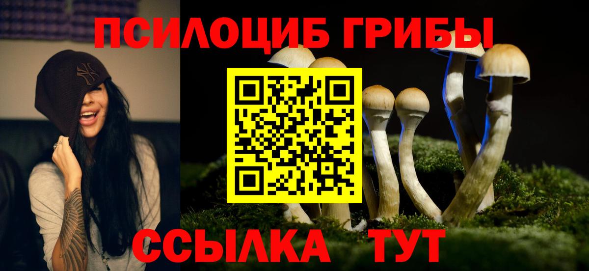 Галлюциногенные грибы GOLDEN TEACHER Орёл